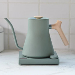 Fellow Stagg EKG Smoke green + Maple | Veekeetja Gooseneck