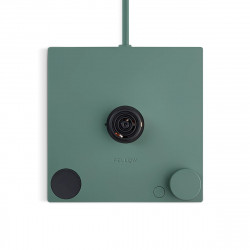 Fellow Stagg EKG Smoke green + Maple | Veekeetja Gooseneck