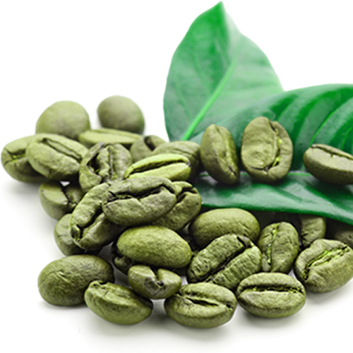 Arvustused Coffea arabica - seemned
